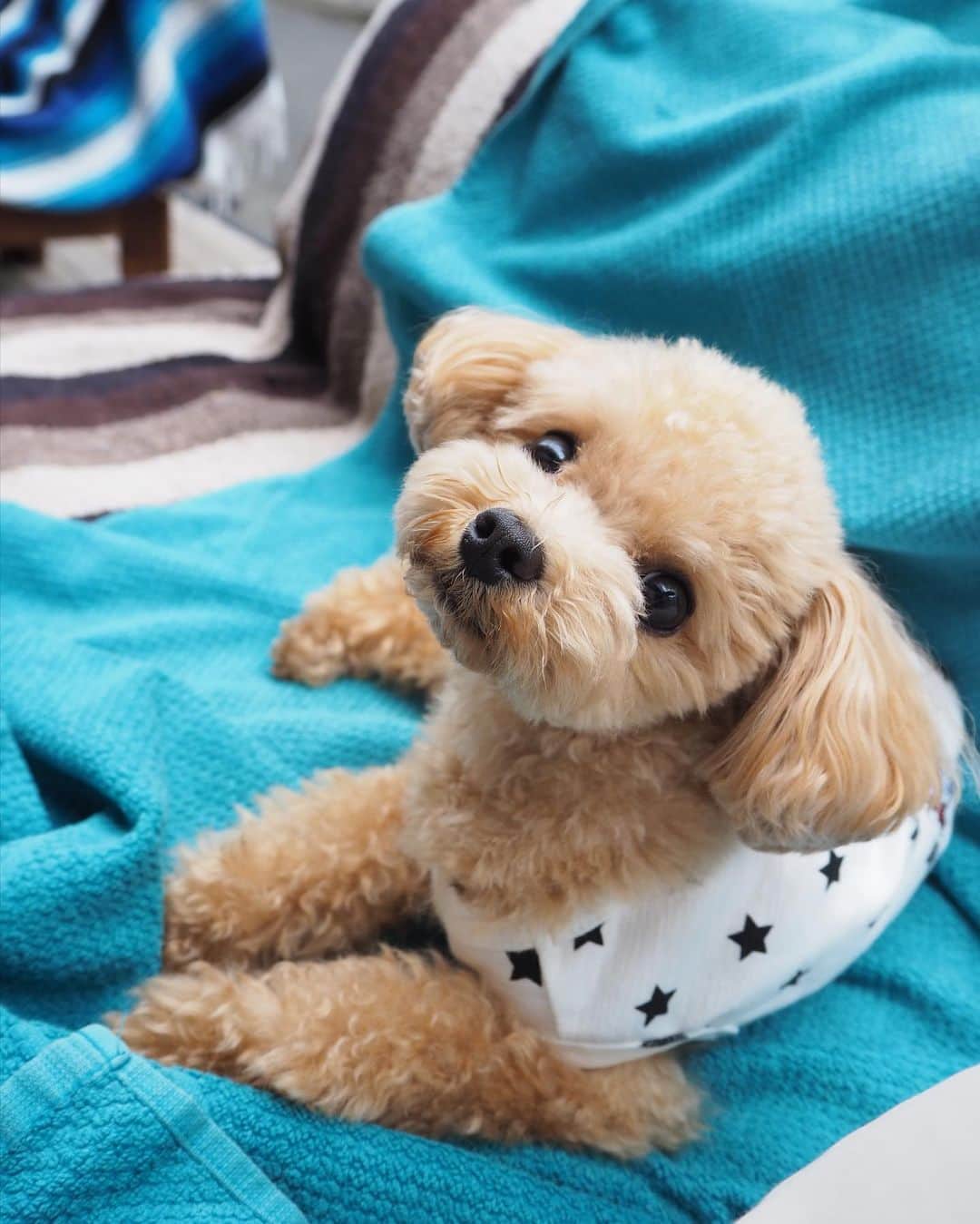 くるみたんのグルメインスタ