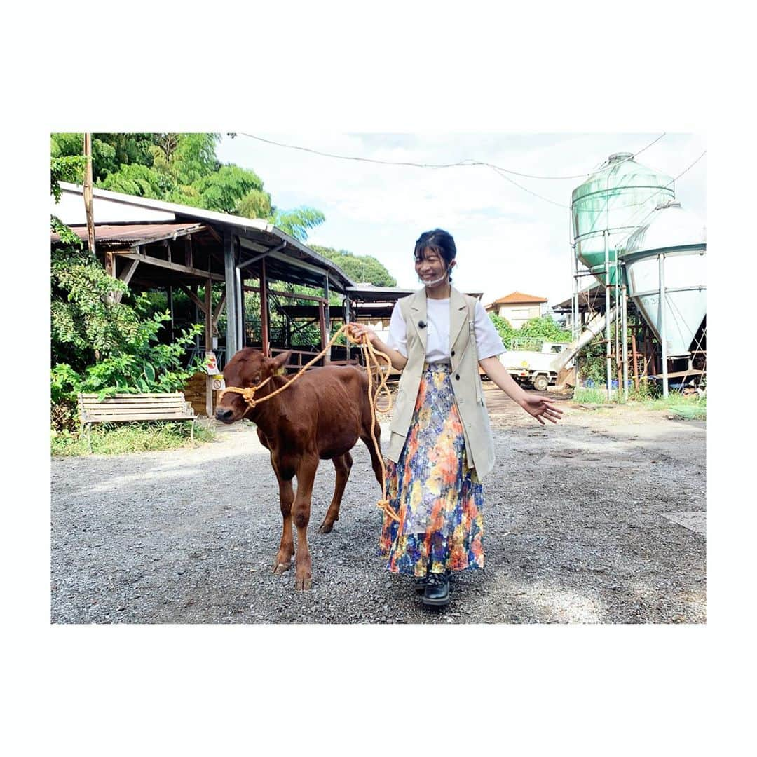 三倉茉奈さんのインスタグラム写真 - (三倉茉奈Instagram)「なりゆき街道八王子編。 色々なところを小旅行させていただき楽しかったです。ありがとうございました✨✨安産祈願もしていただき、嬉しかった。心強いです。 新しくフォローしてくださった皆さん、ありがとうございます。  写真1枚目、カレーランチ。野菜カレーにハーフカツトッピング。 2枚目澤部さんと佳奈と。同じ86年生まれチーム。 3枚目、子牛と佳奈さん。 4枚目、野菜収穫体験で頂いた緑茄子やオクラを使って具沢山つけ汁の素麺。以前野菜の煮浸しを乗せたんですが、それもあの時収穫した野菜です。採れたての野菜は本当にみずみずしくて美味しい。 写真にはないですが、最後の鶏鍋の白湯スープも美味しかったなぁ。。  #なりゆき街道旅 #twins」10月4日 14時16分 - mana_mikura_official