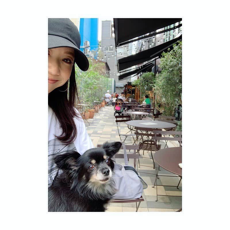 市橋有里のインスタグラム：「早くお出かけしたかったみたいですw(5枚目) 以前レセプションの時に来て どのお店も魅力的過ぎたので 何かお洒落なものでも食べようかと思っていたけれど、お腹はお蕎麦を欲していました😆 次は豚骨ラーメン絶対食べよ♪ ・ #新蕎麦を待たずして #犬との暮らし #先日のお出かけ」