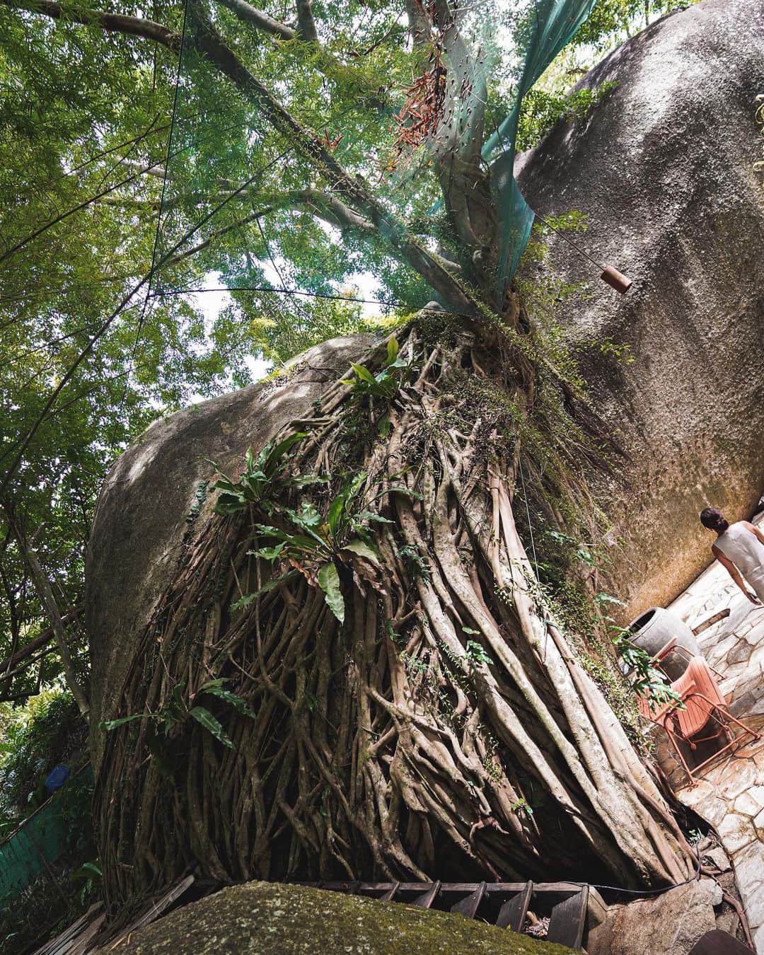 MARIEさんのインスタグラム写真 - (MARIEInstagram)「サムイ島のスパの奥にある小道が、﻿ 生命力が凄くてマイナスイオンが凄かったなぁ﻿ ﻿ ﻿ 大きい石や力強い木の幹から﻿ エネルギーを感じました（そんな気がする）﻿ ﻿ ﻿ 多分サムイ島の投稿はこれで最後かな？﻿ でもまだまだ写真が沢山あるから﻿ たまにストーリーに載せようかな😘」10月4日 15時39分 - marie.328