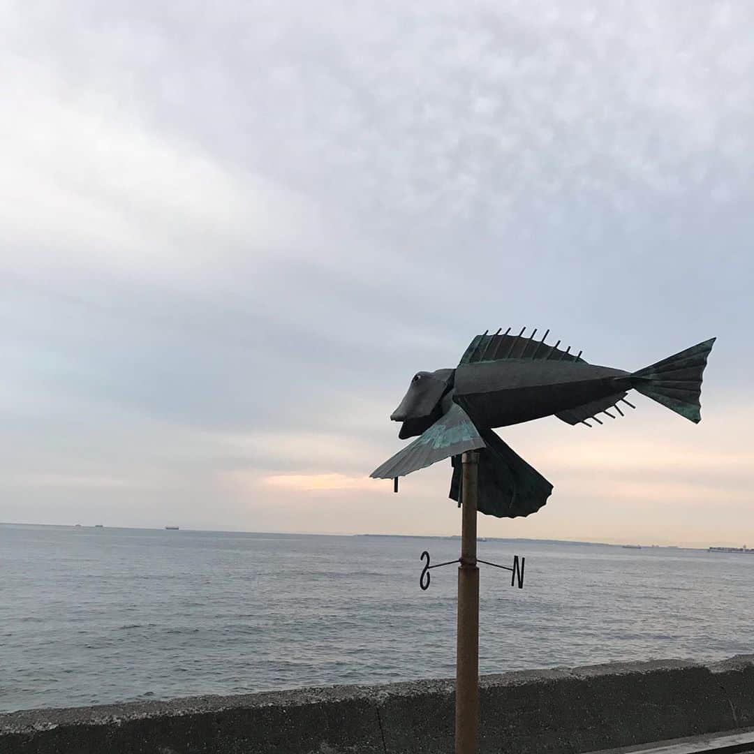福田葉子さんのインスタグラム写真 - (福田葉子Instagram)「海辺も久しぶりなら夕焼けも久しぶり…。ゴルフ帰りにちょっと足を伸ばして千葉は富津市のthe Fishへ。産直屋さんを抜けてレストラン横からドアを開けるとこの景色。土曜日なのにめっちゃ人が少なくてびっくり。千葉って穴場ですよね…神奈川の海辺は混んでるイメージあるけどここはのんびり。テトラポッドに寄せる波の音とほのかな夕景。いやー癒されました。いい場所。 #sunset #seaside #the fish #chiba #peaceful #landscape #weekend #ザフィッシュ　#海　#千葉　#夕焼け　#静か　#きれい　#ドライブ」10月4日 15時41分 - yoyoyokoko