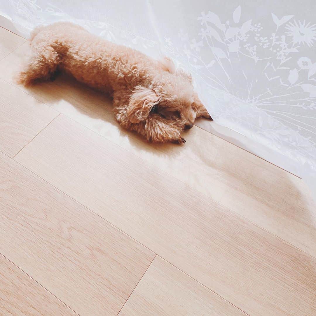 阿部真央のインスタグラム：「今日ゲットしたての指輪を付けていたら息子が 「ママ、きれ〜い。女性みたい」 とな。  女や。  まお」