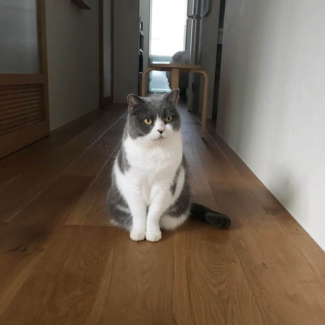 カブのインスタグラム：「胸にハートあるじゃん」