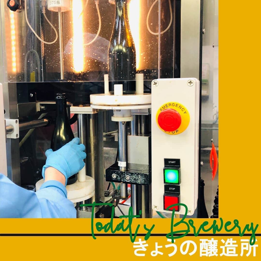 のインスタグラム：「at#佐久醸造所 毎年大好評の「あのビール」を充填中🍺  実は、瓶のビールは、ブルワー(醸造家)たちが一本ずつ手作業で充填しています🤲 瓶ビールをお召し上がりいただく際は、そんなブルワーたちの姿も思い出していただけると嬉しいです✨  こちらの製品、近日中に発売日を発表いたしますので、どうぞお楽しみに！ . . #ビール #クラフトビール #家飲み #飲酒タグラム #宅飲み #呑み #ビール女子 #ビール好き #ビアスタグラム #ビールクズ #ビール大好き #ビール好きな人と繋がりたい #beer #craftbeer #cheers #instabeer #beerstagram #beertime #ビール部 #ヤッホーブルーイング #ビール飲みたい #缶ビール #ブルワー #ブルワリー #醸造所 #長野県 #長野 #brewery #brewer」