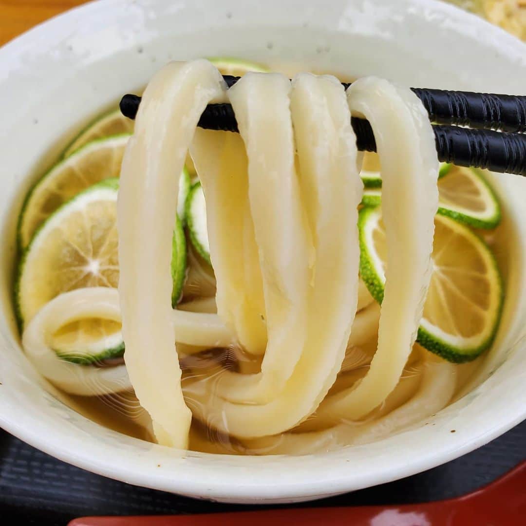 田畑竜介さんのインスタグラム写真 - (田畑竜介Instagram)「麺注入🍜  糸島市白糸にある『やすじ』 以前、観光課長土居のコーナーで 紹介させてもらったお店✨  高台からの眺望や白糸の森に癒されつつ 讃岐仕込みのコシのあるうどんを頂く😋 うどんも天ぷらも美味しかった～😆  お店の上には ドライブインシアターの会場が🎦  #糸島市 #白糸の森 #白糸うどんやすじ」10月4日 18時01分 - tabacchi_rkb