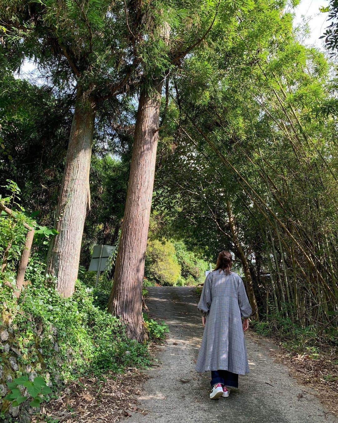 松本ルナのインスタグラム：「木漏れ日🌳♡﻿ ﻿ そしてルンルン飛びながら走る松本さん🏃‍♀️﻿ ﻿ 奈良で伸び伸び過ごしております。😂﻿ ﻿ 一つ前のカフェの目の前の場所だよ☺️✨ ﻿ #自然 #自然が大好き #大自然  #のびのび #田舎暮らし #田舎娘  #田舎万歳 #奈良 #奈良観光  #私は奈良派 #癒し #癒しの時間  #勝手に観光大使 #勝手に奈良観光大使  #ルナマップ #nara #narajapan  #naracafe #nära #nature #countryside #countrylife」