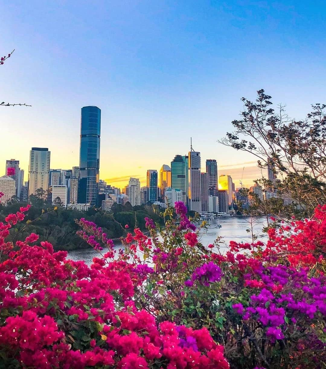 Australiaさんのインスタグラム写真 - (AustraliaInstagram)「There’s no doubt about it, @visitbrisbane is a blooming beautiful city 🌼 @_sarahlatham snapped this colourful scene at #KangarooPoint when she was out and about exploring @queensland’s capital on a delightful spring afternoon. With its subtropical climate, #Brisbane’s balmy evenings are best enjoyed outdoors; try pounding the pavement on one of the many city walking trails before rewarding yourself at one of @visitbrisbane's many rooftop bars, such as @sixteen_antlers, @stockexchangehotel or @limeshotel. Find even more hidden city gems like these via the link in our bio 😎 #brisbaneanyday #visitbrisbane #ThisIsQueensland #seeAustralia」10月4日 19時00分 - australia