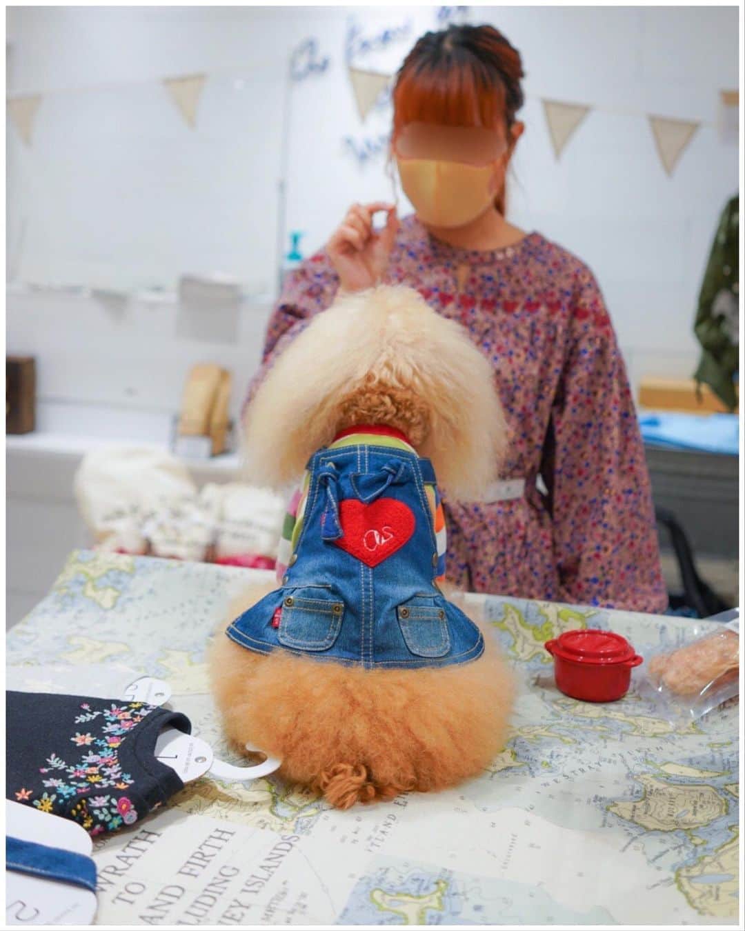Toypoodle Mikuru?Asakusa Tokyoのインスタグラム：「20201004 Sunday. 【Mikuru information🌟】 Love♥️ . ⭐️ ハートなジャンパーSK ⭐️ WG0172 / ¥9,200+tax . 背中の大きなハート♥️が超かわいいです😆 展示会でも大人気との事で、みきゅるんも予約してました‼️ パンツスタイルのサロペットもありますよ😄 . 後ろ姿の みきゅるん。 ご参考までに、サイズは 1 です。 肩紐調節できるのでサイズ感に柔軟性あります。 生地はデニムデスが柔らかい伸縮性があるものです。 大人気なのでサイズによっては、オンラインショップも予約完売だったとか😨 . 昨日(10/3)銀座店に行った時、サイズ2が一枚ありましたよ😄 もう売れちゃったかもしれませんが😣 . 在庫やサイズ相談など詳細は @asknowasdewan_marronniergate にお問合せください☺️ . 以上、Mikuru information でした🌟 . #asknowasdewan #asknowasdewan公式アンバサダー #マロニエゲート銀座 #第17期PPモデル」