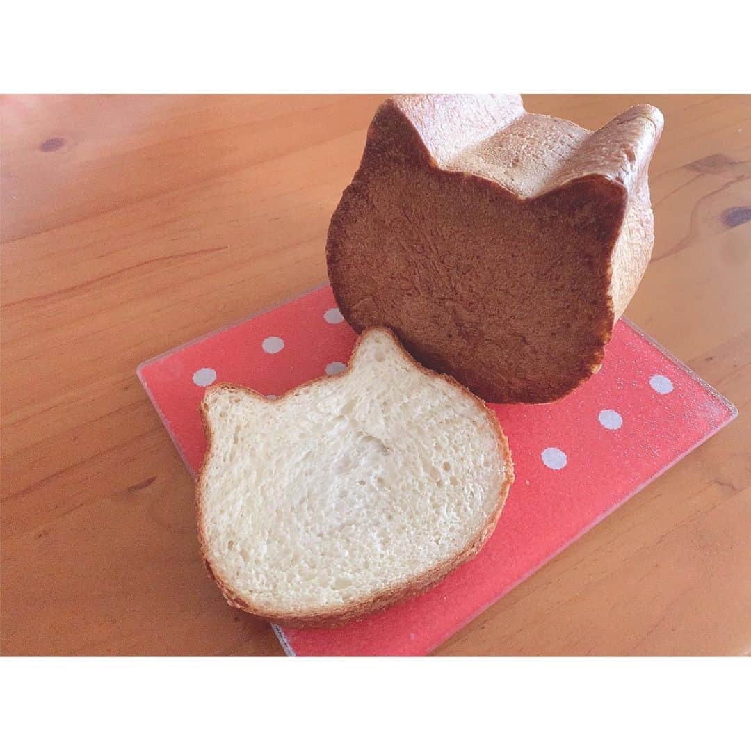 山邊歩夢さんのインスタグラム写真 - (山邊歩夢Instagram)「🐱🐈🍞 * * とっても美味しかったパン * * #ねこねこ食パン #ねこパン #ねこ型 #食パン #パン」10月4日 19時04分 - ayuyamabe_official