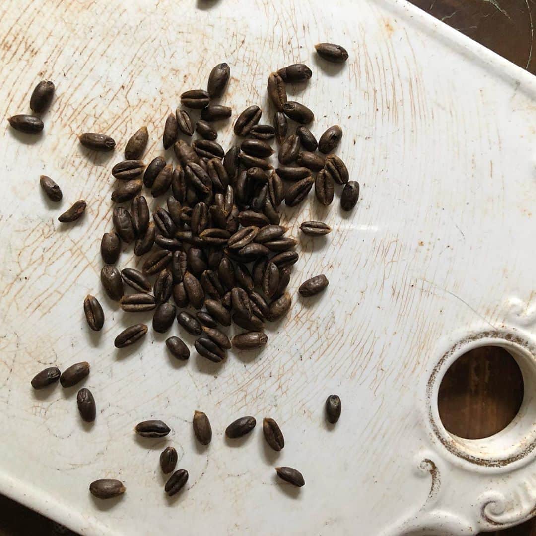 日登美さんのインスタグラム写真 - (日登美Instagram)「Spelt Coffee ( Dinkel Kaffee)Treatment (efficacy below)  スペルトコーヒーケア 季節で、体調で飲むお茶をかえる。  自然療法の祖ヒルデガルトはスペルト小麦は完全なヒーリングフードと言っています。 日本で玄米が健康食だといわているのと同じかんじでしょうか。  その効能は、血液の質を改善し、よい筋肉を作り、胃腸を整え、皮膚アレルギー全般によく、神経やリラックス作用などなど多岐に渡ります。  と、言うわけで最近は冷えてきたし毎朝のお茶をスペルトコーヒーに。 お通じをよくし、胃腸を整え、免疫力をつけるにもってこい。体もすっきりしています。  ヒルデガルトはこのスペルトコーヒーを一週間ほど飲みつづけて休むと言う日頃の食養を勧めています。  うまく焙煎されたスペルトコーヒーは本当にコーヒーみたい！体が美味しいと感じるなら、きっとよい効果があるでしょう。 私は美味しく感じなくなったらやめる。と言うかんじでつづけています。  マクロビだと玄米コーヒーてありますよね。あれのヨーロッパバージョン。 ヒルデガルトとマクロビオティック、色々共通点があって面白いです。 地域にあった食材で全然違うところ、けれど全く同じところもあるんですね。 自然療法など台所から眺めていくと、世界中色々繋がっているようで面白いです。  Change what you drink daily ,same as what you wear following the season.  Spelt is one of perfect healing food, Hildegard said. Efficacy is that blood quality, immune system, bowel movement, nerves, allergies ...and so on.  In Japan , there is also same kinds of treatment which is roasted brown rice coffee. and the efficacy is almost same . Is it interesting, right? Strong roasted spelt coffee is also strong yang energy. That’s means suits for cold season.  Take 5-6 Tbsp spelt Korn with 1 L of water , cook for 10mins. Keep the Korn for next time, you can add 1 Tbsp Korn and fill the water and cook again, when you want to drink it next time.  If you feel good when you drink it, then it’s right for you. You can drink it for 6 days and see how you gonna feel. No caffeine.  #dailycare #healing #healthyfood #nocaffeine #hildegardvonbingen #naturalcare #naturalhealing #food #berlin #momslife #食養 #穀物コーヒー #スペルト小麦 #全粒 #ヒルデガルト #自然療法 #ヒーリング #フード #ベルリン #ドイツ」10月4日 19時05分 - hitomihigashi_b