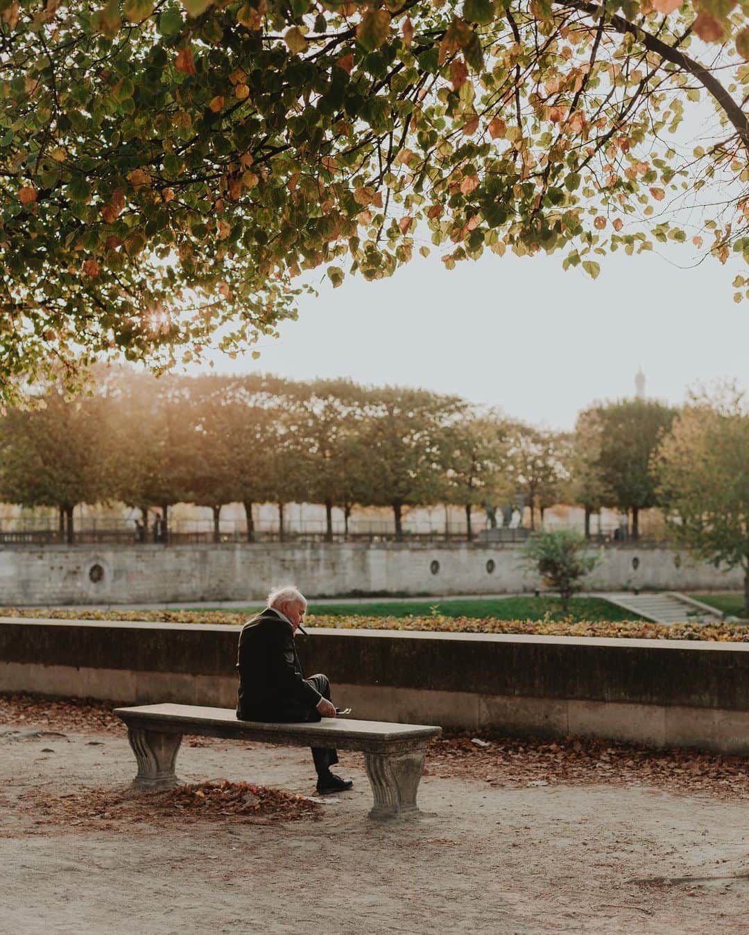 Putri Anindyaのインスタグラム：「The bench in Tuileries garden.  Waiting for someone and it never happened.  He lit his cigar and autumn wind play.  Gave him chills, but decided to stay.」