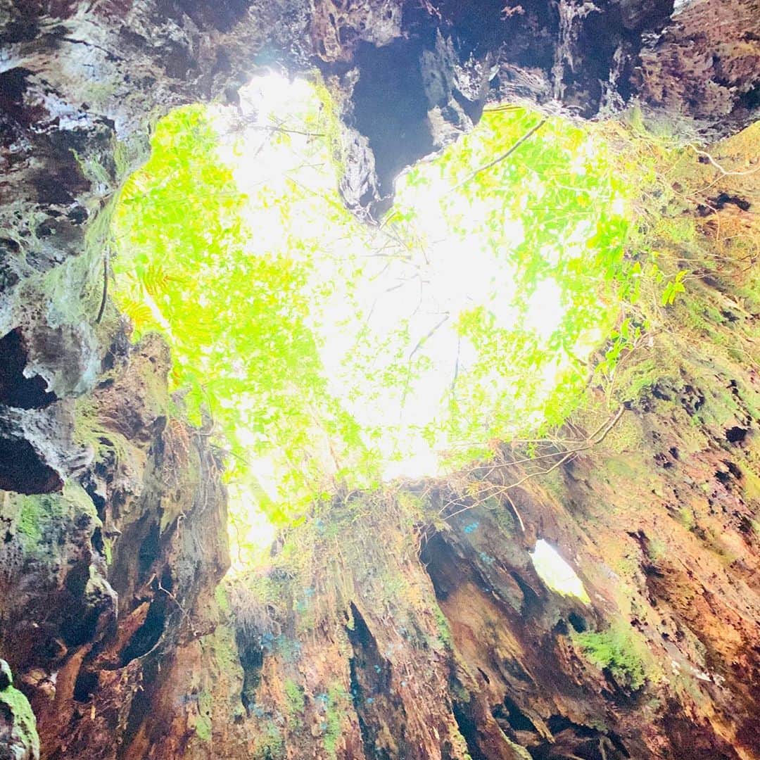 筒井菜月のインスタグラム：「空から降り注ぐハートの光♥️  #屋久島　#屋久杉　#Japan」