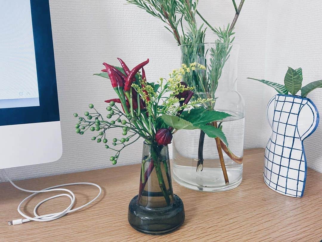 藤野可織のインスタグラム：「久しぶりに注文してみた。タカノツメが立派でうれしい。  FLOWER｜かわいいお花がポストに届く、月に2回のお花便 flowr.is/flowers/213  注文時に招待コード『03C6』を入力すると、500円のブーケが無料でお試しできます。 #flower_is #お花のある暮らしはじめました」