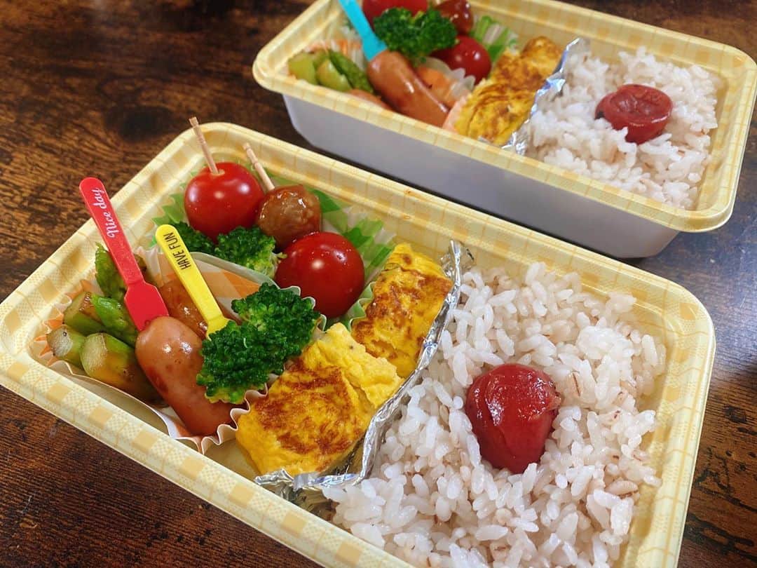 武田梨奈さんのインスタグラム写真 - (武田梨奈Instagram)「🍱 自分の好きな具だけ詰めました✌︎('ω')✌︎ 皆さんの好きなお弁当の具は何ですか？ 私は、梅干しです。  #お弁当  #lunchbox」10月4日 19時27分 - rinatakeda615