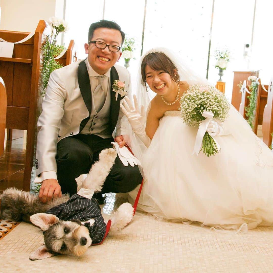 福井結婚式 ヴィラグランディス福井のインスタグラム：「【Dog】﻿ .﻿ .﻿ .﻿ 大切なご家族の一員﻿ ワンちゃんとも思い出の一枚を🐶﻿ .﻿ .﻿ ．﻿ 素敵な1日を…♡﻿ .﻿ .﻿ ．﻿ #ヴィラグランディス福井﻿ 他の写真も気になる方はプロフィールから﻿ 公式HPもご覧ください▶︎▶︎▶︎」