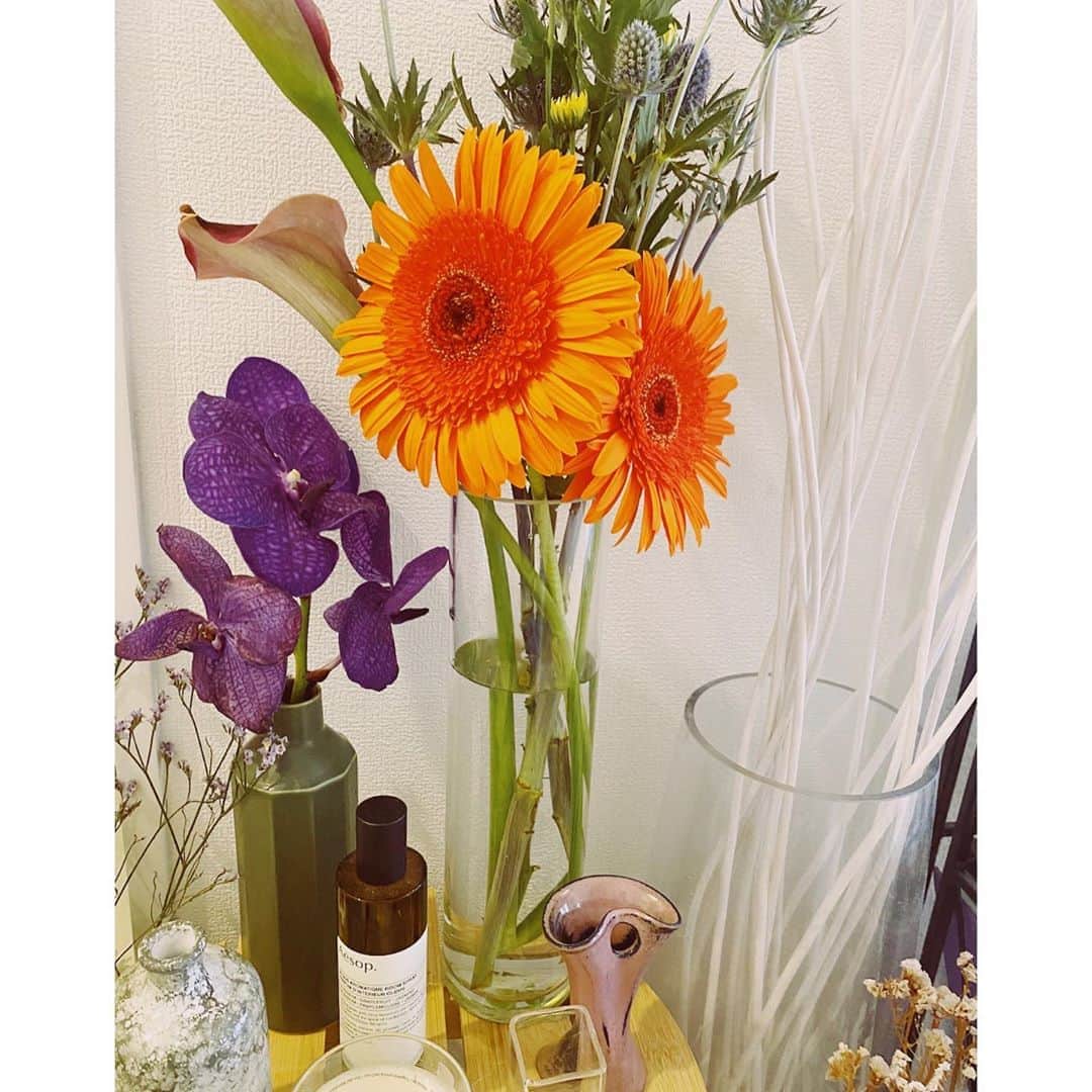 ほたるのグルメインスタ