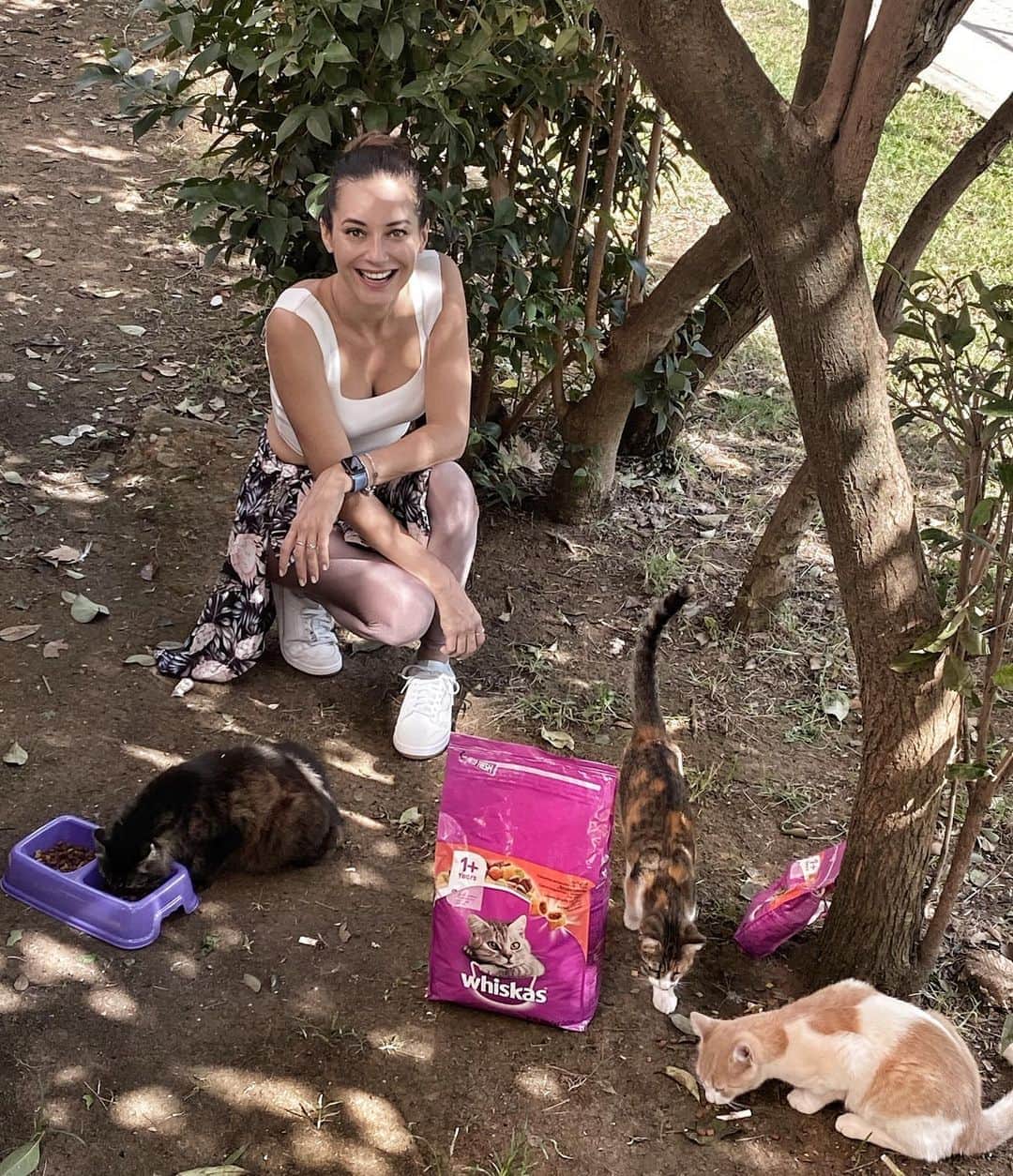 Sedef Avciのインスタグラム：「Bugun onların günü.4 Ekim Hayvanları Koruma Günü!Yani benim için hergun aslında ama sizlere bir kez daha hatırlatmak istedim.Özellikle sokaktaki ve barınaktaki hayvanların bize çok ihtiyacı var.Bu amaçla yola çıkan @whiskas.tr sevimli dostlarımıza patibüs aracılığla mama dağıtıyor.Sen de bu dostlarımızın hayatına dokunmak istersen , tek yapman gereken bir kap mama ve bir kap su. #patigönüllüleri 🐱 #4ekimhayvanlarıkorumagünü」