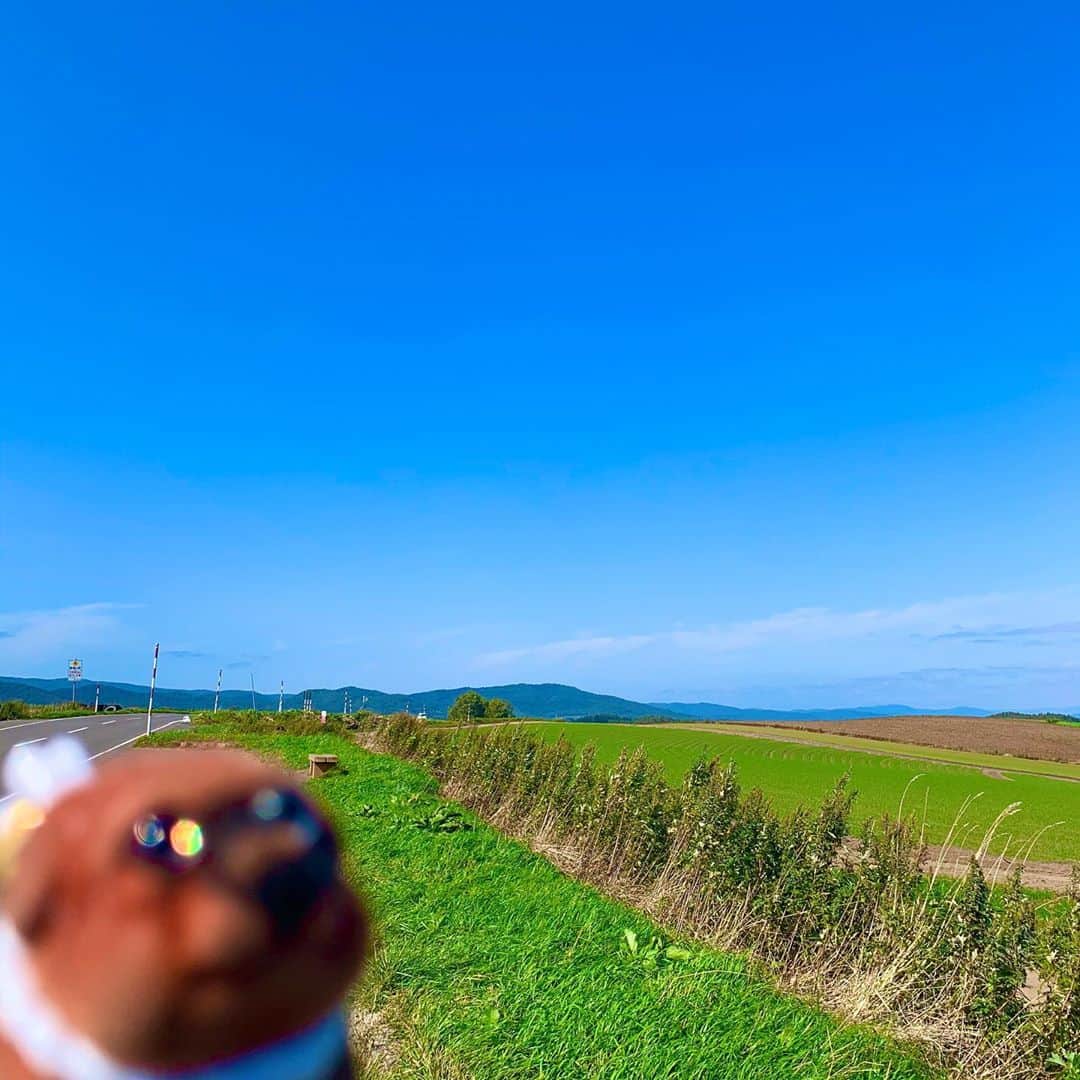 ころのインスタグラム：「ころツーリスト in #日本 (#北海道 )  . 本当にご無沙汰しています😊 . かれこれ約8ヶ月ぶりの投稿です💦💦  あまりに投稿しないので、時々心配してメッセージくれる優しい方にご心配おかけしましたが、私もころもすこぶる元気です😊🎶🎶 . 皆さんは体調大丈夫ですか？ . 私は珍しくずっと引きこもっておりましたがやっと世の中の風潮的に旅行に行っても良い感じになって来たので、北海道に来てみました‼️ . 北海道は4回目くらいですが、今回は初めてレンタカーを借りて北海道周遊をしています🚗💨💨 . 何気に北海道の景色をちゃんと楽しむのは初めてかも・・・笑 . そこで気付いたのですが、北海道の景色は普通に海外ですね😳✈️✈️ . 前ほどのペースでは旅行出来ませんが、またちょくちょく投稿して行きたいと思いますのでよろしくお願いしますm(_ _)m  ころの他の写真を見たい方はこちらから！  @koro.dottokoi .  #ころツーリスト #旅 #旅日記 #旅スタグラム #旅すたぐらむ #トラベラー #マイトリップ #旅の思い出」