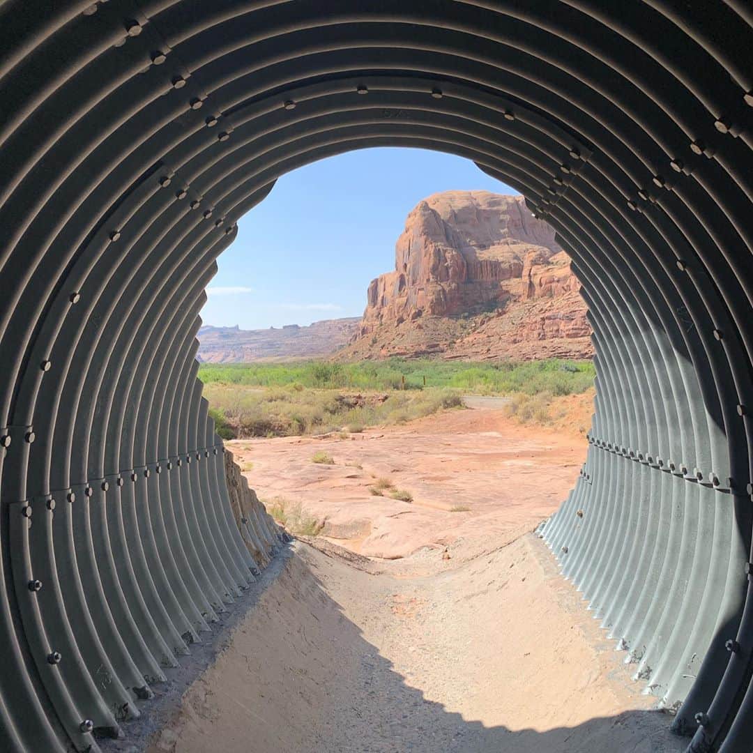 エミリー・スワローさんのインスタグラム写真 - (エミリー・スワローInstagram)「Tunnel vision.」10月5日 5時29分 - bigeswallz