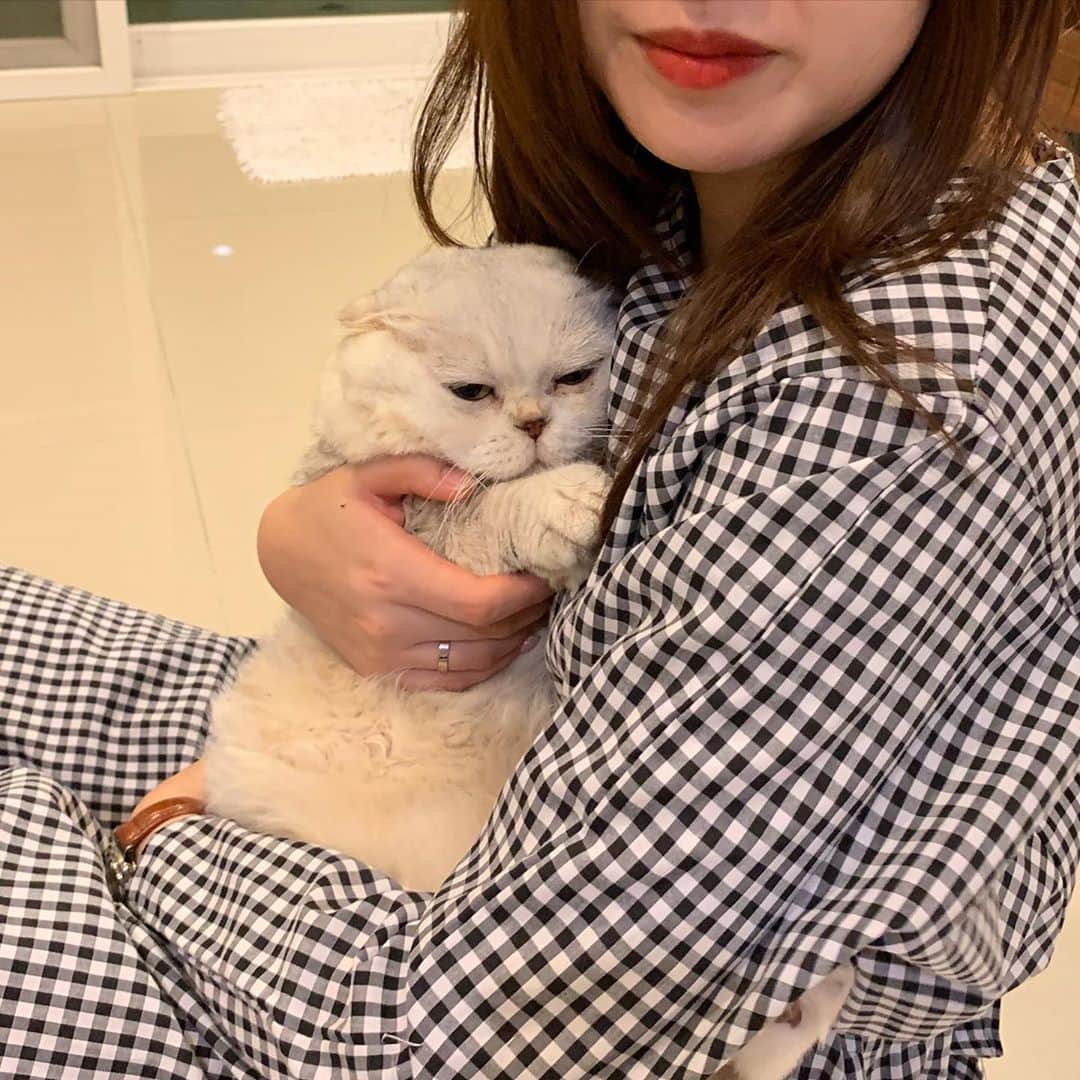 Haruのインスタグラム：「It’s so sad to know that everyone calls you fatty. 🥺 #เค้าป่าวอ้วน #อย่าว่าเค้า」
