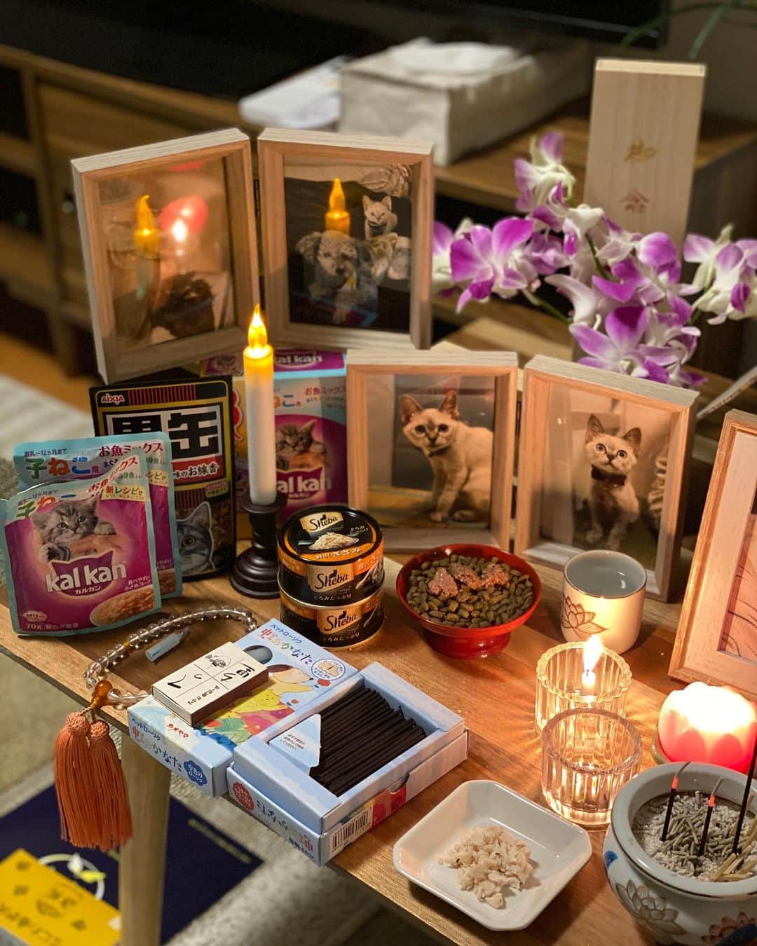 照井和希さんのインスタグラム写真 - (照井和希Instagram)「大阪動物病院でご紹介して頂き 宝塚動物霊園で本日 令和2年10月4日  15時から愛猫つゆのお葬式を行いました。  棺も綺麗な木箱に変え ピンクの可愛いお布団に寝かせて貰い 女の子らしい可愛い色のお花とつゆの大好きな物を沢山詰めました。  七夕の日つゆを保護する為に慌てて買い足したタオル 来てすぐつゆの寝場所がなかなか定まらないから あらゆる所に敷き詰めてどこで寝ても お腹が冷えない様にと買ったタオル 私の枕カバーで良く寝てた つゆのお気に入りだったね。 お家の匂いが染み付いてるからきっとつゆも落ち着くかな？  つゆが寂しくないように初めて買ったお人形は くまが入れてあげてって持って来てくれたんだよ でもそこまで気に入ってなかったよね。笑  妹からも、病院からも、ママの知り合いの方からも ご飯とおやつのお供物、私も嬉しかったです。 穂乃佳も気遣って寄り添ってくれてありがとう。  つゆもほのかにご飯くれー！って 足下まとわりついてたもんね。笑 人懐っこくて誰にでも甘えん坊のつゆだったな  スタッフさんがしっかり三途の川を渡れるようにと つゆにお守り持たせてくれたね。慌てずゆっくり渡れたかな？ 数珠も持ってるんだよ🍀おててが可愛いつゆちゃん。 そして紙を渡され、ギュッと手に祈りを込めるようにと。 私を忘れない様に私の香りを。その紙もつゆのそばへ 素敵な物沢山準備して下さいました。嬉しかったです。  伝え忘れない様に手紙も書きました 愛おしい瞬間を収めたつゆの写真も。 つゆが初めてバルコニーでお外眺めた日の写真も。 つゆの家を忘れない様にと気持ちを込めて。  どの瞬間もつゆを思い出して涙が溢れました 愛おしいつゆとの時間がずっとフラッシュバックして消えなかった  サヨナラの瞬間も名残惜しくて辛かった 沢山言葉で伝えて沢山キスして沢山撫でたけど やっぱり寂しかったです。離したくないって思ってしまいました。  最後は大好きだよと伝え 頭にキスをしてお別れしました。  つゆちゃんが空に登るのを 1人で外で座って眺めてました。 不思議ですが私には熱で揺れる空気の中に いくつもの虹が見えた気がします。 空を見てると元気なつゆが浮かんで 私の感情で引き留めずに、元気に向かわせてあげようって 自然と笑顔で いってらっしゃいが言えました。  小さくなったつゆも愛おしかったです お骨になった我が子も可愛いなって素直に思えました。  最後に壺に入ったつゆを抱き抱えた時 温かくて 冷たいつゆじゃなくて また涙が溢れました。  つゆちゃんは甘えん坊だったから またすぐ形を変えて私に会いに来てくれそうな気がします。 それから 私はつゆって事に気付けそうな気もします。  ボロボロだったつゆ お腹の毛も生えて少し肉付きが良くなって みるみる見違えて綺麗になりました。 辛い思いしたもんね、来世では丈夫な身体で生まれて来てね いつか私のお腹に戻って来てくれると嬉しいな  それでも猫だったつゆを私は絶対に忘れないよ🌈🐾  つゆと日向ぼっこするのが私の夢でした 季節が変わり、部屋に太陽の光が入る様になった つゆが入院してる間早くここでつゆを 抱き締めてゴロゴロしたいなって思ってた  つゆに夏と違うぽかぽかした太陽を感じさせてあげたかった。 叶わなかったって散々泣いたけど お葬式に向かう車の中でつゆちゃんを優しい太陽の光が 包んでくれました。最後の最後に神様は 私のお願いを叶えてくれました。  つゆ、幸せだったね。 甘えたくなったらまたいつでも降りて来るんだよ 私はずっとずっと、ずっとずっとつゆの事を想ってます。  骨壺の色は梅雨時期の色に合わせてみました 星が沢山で七夕っぽいね。🎋 水色を見ると私はつゆの顔が浮かびます。 7月7日は織姫と彦星じゃなくて、つゆと和希だよ😂🍀笑 つゆちゃん、忘れないように☺️  素敵なお葬式行えた事に感謝してもしきれません 手厚く、丁寧に、つゆを空に送って下さいました 私も安心してつゆを見送る事ができました 猫ちゃんも居たし、沢山お友達が眠ってるから つゆも安心だね🐾  書きたいことはまだまだあるけど 忘れない様に今日はここまでで留めておきます  愛するという感情は愛おしく尊いです こんな気持ちにさせてくれた娘に感謝 撫でたいな、会いたいよ。 本音はやっぱり寂しいです。  私と同じタイミングでお見送りに来たご家族 お母さんが凄く泣いてた。それを見て私も泣いてしまった 全然知らない人だけど抱きしめてあげたかった  つゆちゃん、あのお母さんのところの 猫ちゃんかな？ワンちゃんかな？もし一緒に向かったなら そっちで 仲良くしてあげてね   つゆ、お友達沢山作ってね 大好きだよ。  #保護猫を家族に #保護犬を家族に」10月4日 21時54分 - kazu24ki