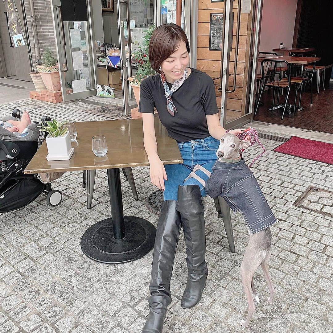 簑島宏美さんのインスタグラム写真 - (簑島宏美Instagram)「* ***** We are denim lover💁‍♀️🐶❤️ ***** 週末は天気が良かったので、2日連続テラスランチ🥰 少し涼しくなってきたので、ハウルのお洋服選びがとても楽しいです🥰❤️ この日はイニシャル入りのデニムジャケット🐶❤️ ***** #イタグレ#イタリアングレーハウンド#italiangreyhound#dogstagram#イタグレとの暮らし#iggysofinstagram#iggygram #iggylove#iggylife#犬のいる暮らし#イタグレ服#iggysoftheworld #iggysofinstagram #dogsofig #dogsofinstagram #犬好きな人と繋がりたい#おんせん県おおいた#新米ママ#kitsuneoita #大分カフェ#大分グルメ#大分ランチ#大分エール飯#大分市#大分県#大分カフェ巡り#大分食べ歩き#大分市カフェ」10月4日 22時12分 - hiromiminoshima