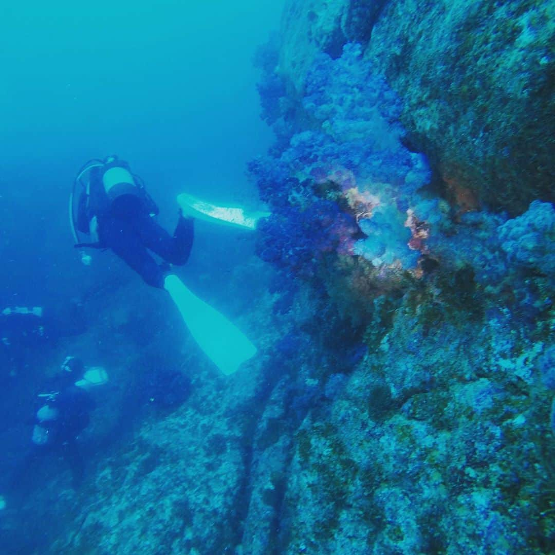 前田佳代乃さんのインスタグラム写真 - (前田佳代乃Instagram)「沖ノ島リベンジ🛥 台風の影響で透明度は良くなかったけど1年越しのリベンジでようやく念願かなって世界遺産の海へ潜れました🤿 3本目流れててキンギョハナダイが洗濯機状態😂 楽しかったなぁー。 行ったばっかだけどまた行きたくなってる←  ペース落ちてたけどこれで92本、100本目までカウントダウン入りました👏 今年中はたぶん厳しいけどマイペースにダイビングも楽しんでいきたいです！」10月4日 22時06分 - maedakayono