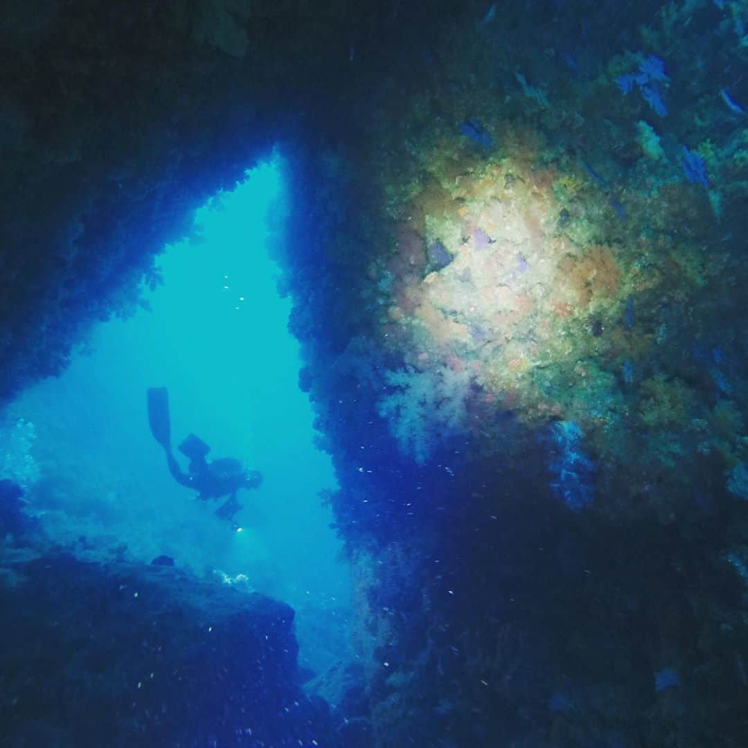 前田佳代乃のインスタグラム：「沖ノ島リベンジ🛥 台風の影響で透明度は良くなかったけど1年越しのリベンジでようやく念願かなって世界遺産の海へ潜れました🤿 3本目流れててキンギョハナダイが洗濯機状態😂 楽しかったなぁー。 行ったばっかだけどまた行きたくなってる←  ペース落ちてたけどこれで92本、100本目までカウントダウン入りました👏 今年中はたぶん厳しいけどマイペースにダイビングも楽しんでいきたいです！」