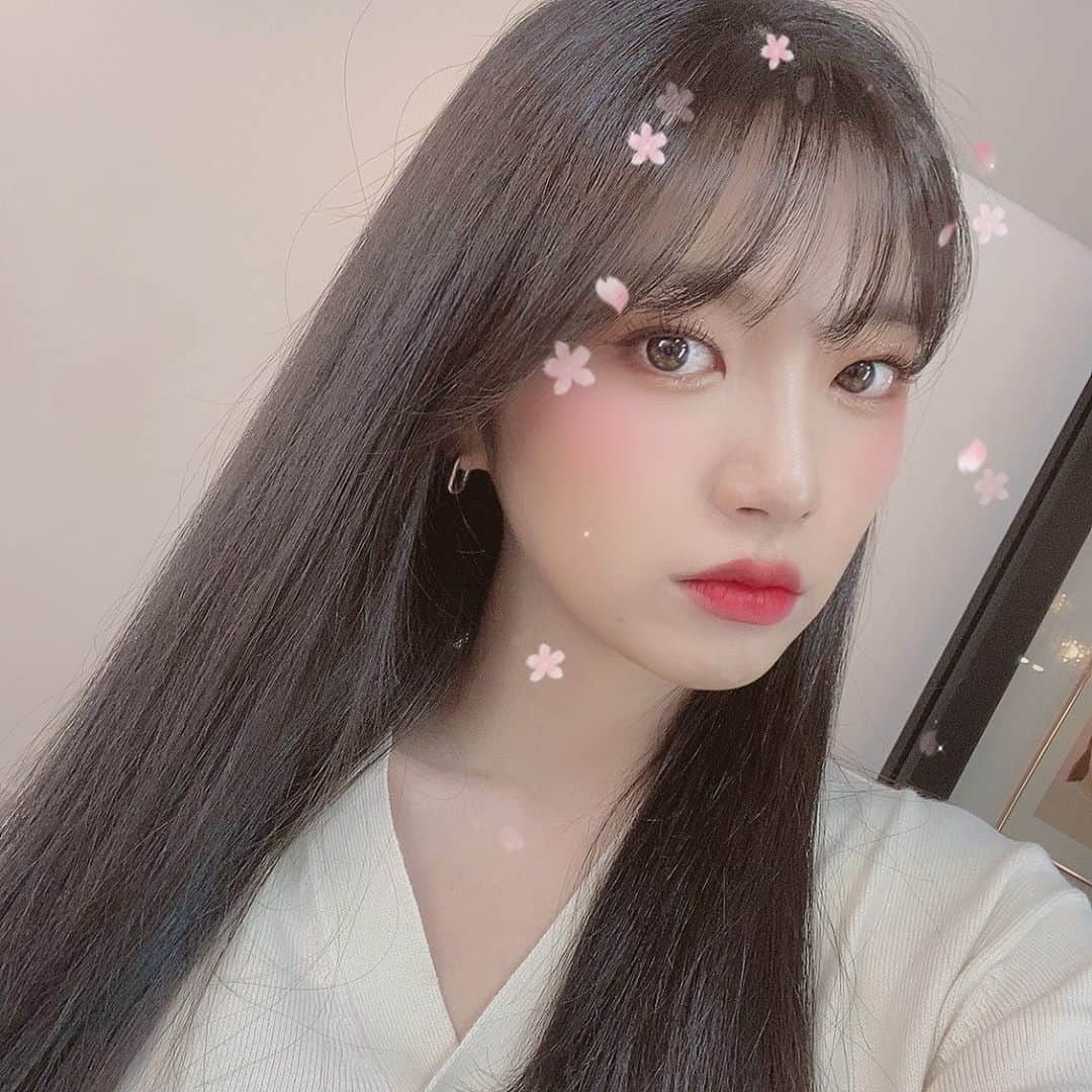 ヘインのインスタグラム：「🎀」