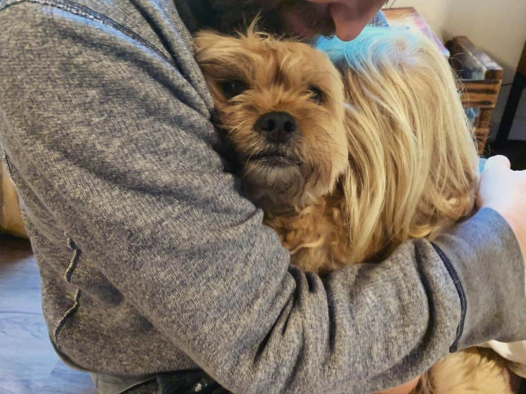 アリソン・ピルのインスタグラム：「#henrychirpa gets an extra hug sandwich today because it’s his #adoptaversary !!! Thanks to @santedorrescue for letting me meet this part-Ewok, maybe-Lhasa, definitely extraordinary boy.」