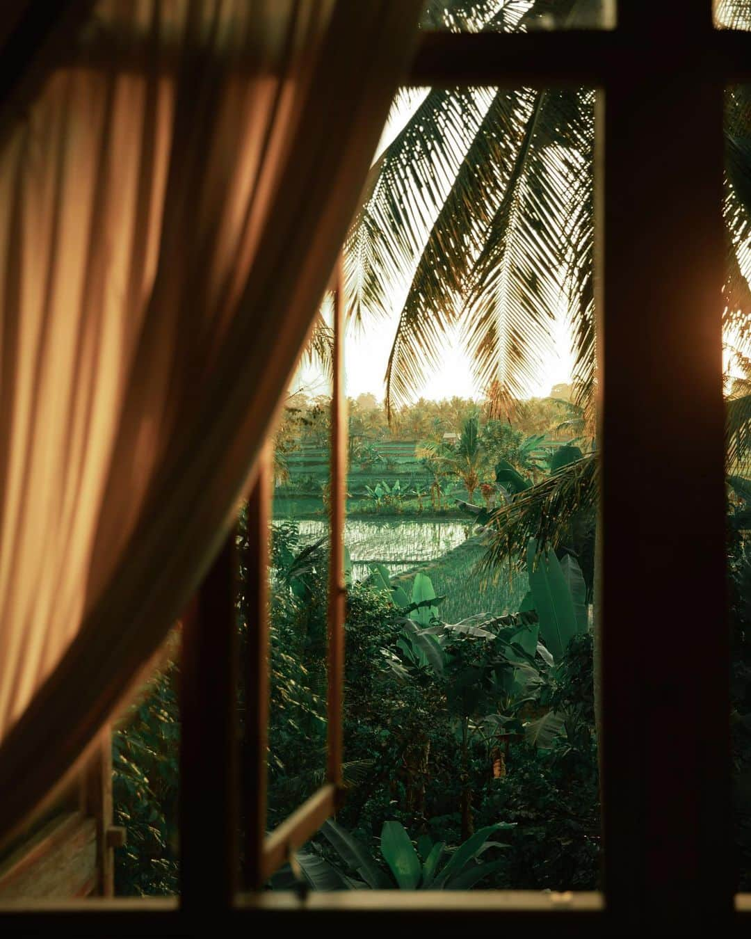 リリー＝ローズ・メロディのインスタグラム：「Bedroom with a view 🌿」