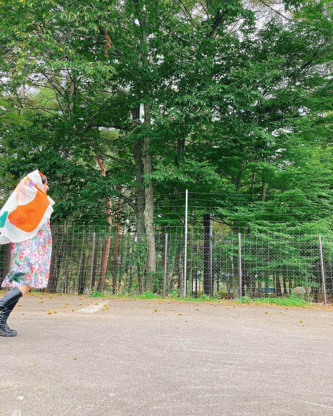 ももさんのインスタグラム写真 - (ももInstagram)「🌳☀️🍄🍍🍇🍅🏔🌷 #え」10月5日 0時22分 - charanpo_momo