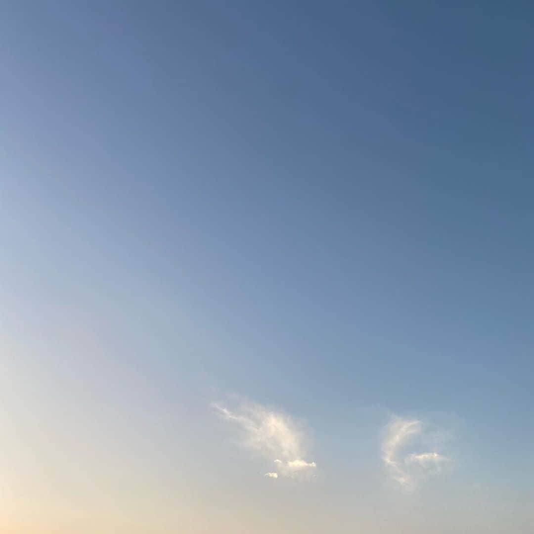 坂田茉世さんのインスタグラム写真 - (坂田茉世Instagram)「今日も明日も素敵な１日を…🌿☀️」10月5日 0時45分 - mayopppe_