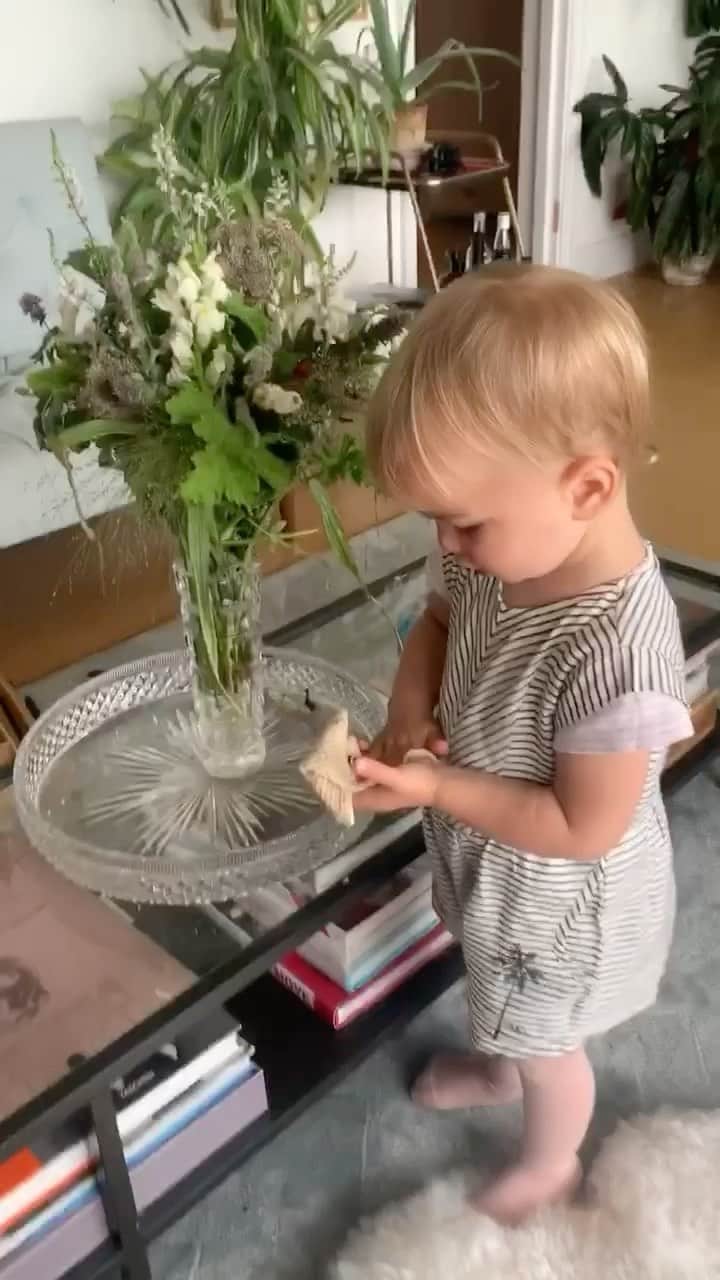 アリゾナ・ミューズのインスタグラム：「Life of Cy update: Sunday cleaning...but her brother took over shortly after #2020」