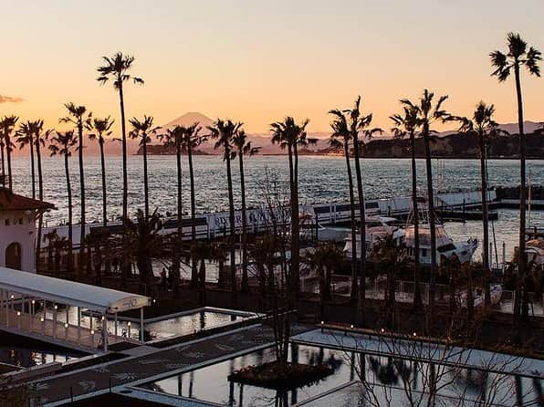 RENA のグルメインスタ