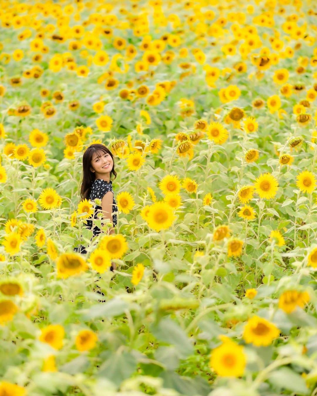 山本ゆうかのインスタグラム：「おしゃれ女子の家には何故 物撮りする用のドライフラワーが必ずあるのか。  #ひまわり」