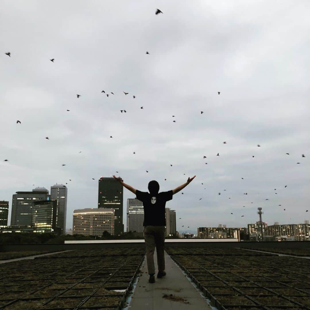 藤原時さんのインスタグラム写真 - (藤原時Instagram)「私が手を広げると、カラスが騒ぎ、集まってきた。 やはり私と鳥類の間には何か深い関わりがあるに違いない。朱鷺。 自身も鳥である。  #カラス　#何故あつまる　#朱鷺 #何処へ行く　#そうか　#ヒガシニ #大阪　#有終の日か　#面白い奴らだった　#売れるまであと少しだった気がする　#弱いオヤジ　#マジシャン　#アイドルの追っかけ　#心踊った名作である　#終わったか　#否　#始まり #彼らはまたやってくる　#また逢おう #ヒガシで　#舞台で」10月5日 3時26分 - fujisakitoki