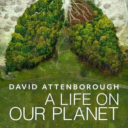 アニヤ・ルービックさんのインスタグラム写真 - (アニヤ・ルービックInstagram)「„A LIFE ON OUR PLANET” - David Attenborough. A MUST! Every person should watch this! Every adult and every child!!! Available on Netflix world wide! 🇵🇱 KONIECZNOŚĆ!!! Każdy powinien to obejrzeć! Każdy dorosły i każde dziecko !!! Dostępne na Netflix na całym świecie! Thank you @davidattenborough ❤️#alifeonourplanet #davidattenborough」10月5日 3時51分 - anja_rubik