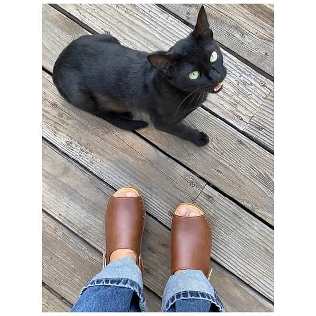 トロエントープさんのインスタグラム写真 - (トロエントープInstagram)「Eva open toe sandals with a back strap in #vegan leather made in collaboration with @goodguysdontwearleather」10月5日 3時46分 - troentorpclogs