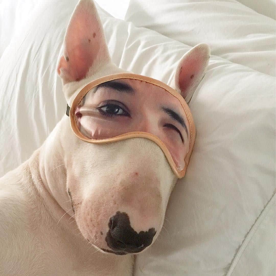 9GAGのインスタグラム