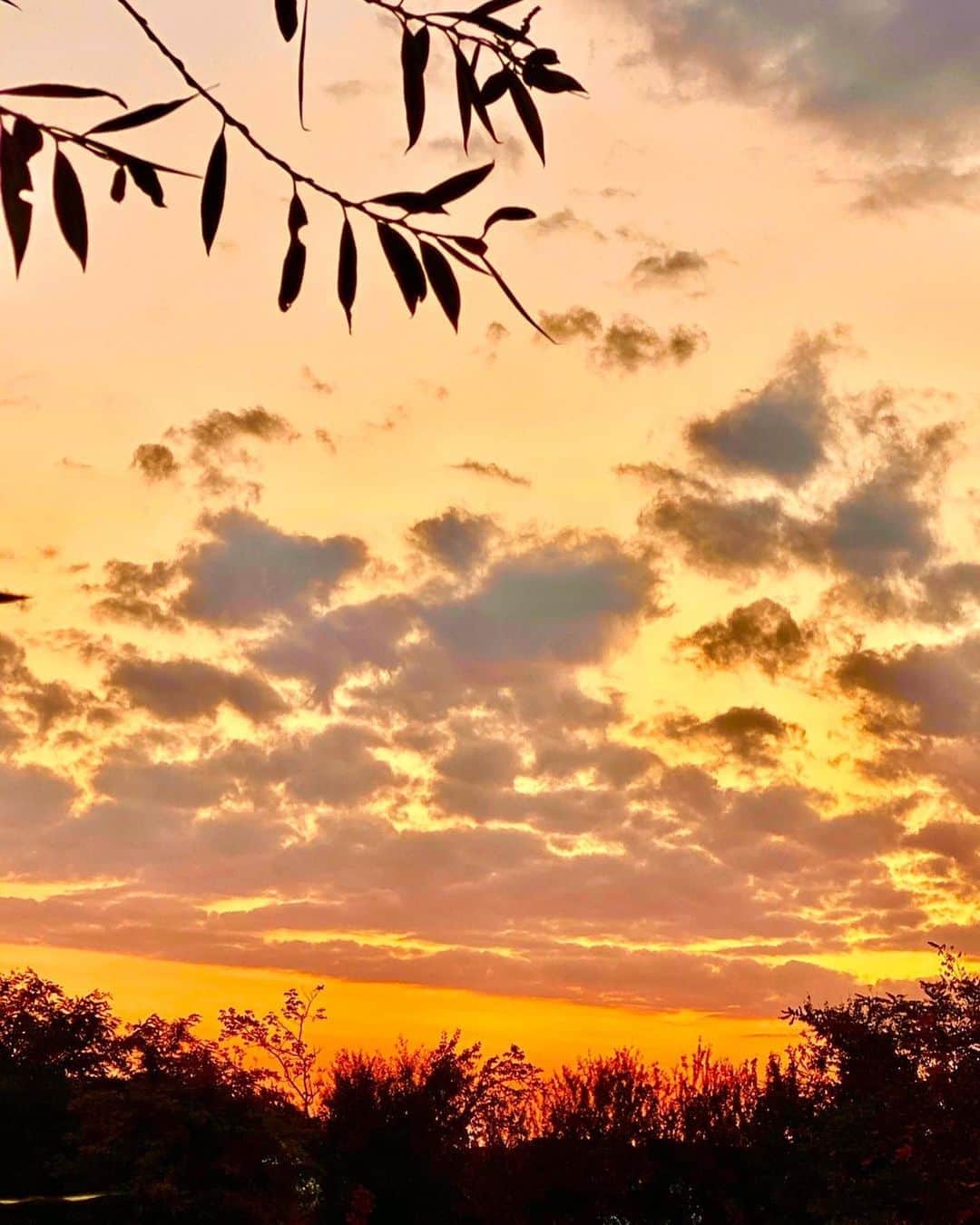 Laraさんのインスタグラム写真 - (LaraInstagram)「Memories in Romania 🇷🇴  October 2019 The farm stay was a dream! The sunset was beautiful every day! 😄 . ルーマニアの田舎で お伽話のような ファームステイ . 毎日きれいな夕焼けが 見れたよ .  #ルーマニア #2019年10月 #思い出投稿 #🇷🇴romania」10月5日 4時48分 - fa_la_lara
