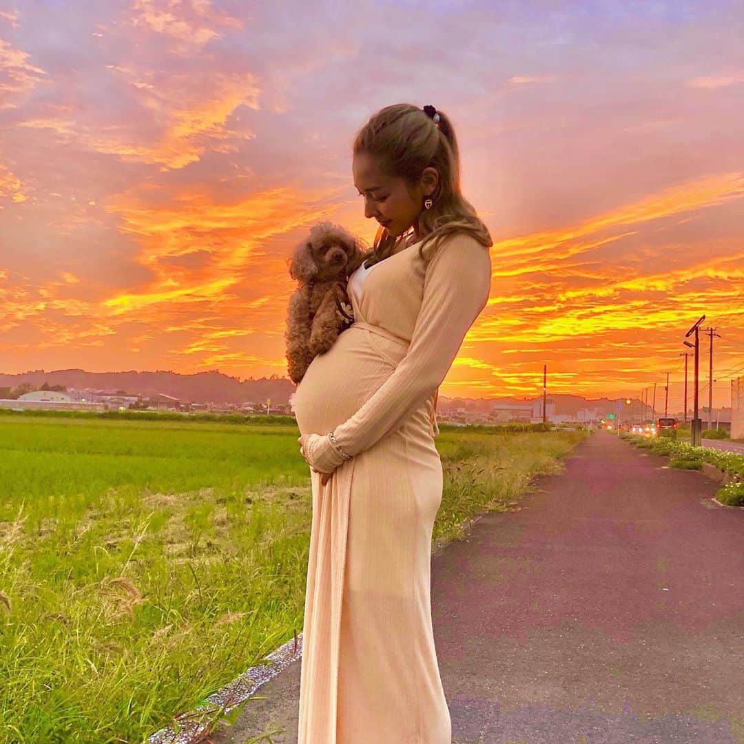 のインスタグラム：「𝑴𝒚 𝒅𝒐𝒈 𝒊𝒔 𝒓𝒐𝒖𝒈𝒉𝒍𝒚 𝒕𝒉𝒆 𝒔𝒂𝒎𝒆 𝒘𝒆𝒊𝒈𝒉𝒕 𝒂𝒔 𝒂 𝒏𝒆𝒘𝒃𝒐𝒓𝒏 𝒃𝒂𝒃𝒚♡  ララの重さはちょうど赤ちゃんが産まれてくるときと同じ重さくらい☺️❤️」