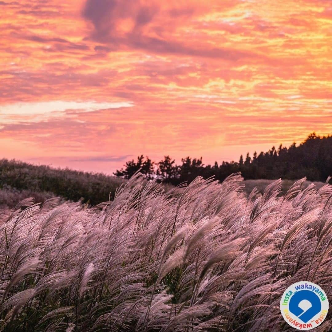 和歌山県のインスタグラム