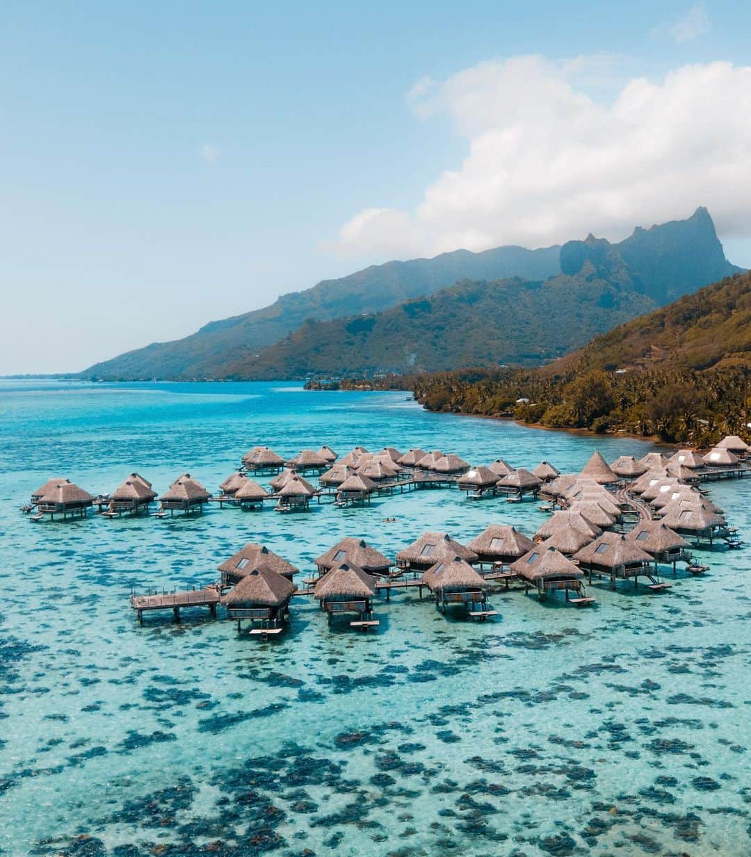 Earth Picsさんのインスタグラム写真 - (Earth PicsInstagram)「Moorea, French Polynesia @hiltonmoorea  . Tahiti, Bora Bora is one of the safest places to visit right. We flew with @airtahitinui. Certain requirements are put in place to keep everyone safe during this time. When traveling to Bora Bora you just need to follow these four steps below: #safetotravel #travelsafe  Prior to boarding: 1)Proof of a negative RT-PCR test carried out within three days prior to departure. 2)Present the receipt of the health registration on the Etis.pf platform. 3) During the stay: Self-test 4 days after arrival in The Islands of Tahiti. #lovetahiti #tahititourisme @tahititourisme @tahititourismenorthamerica」10月5日 14時54分 - earthpix