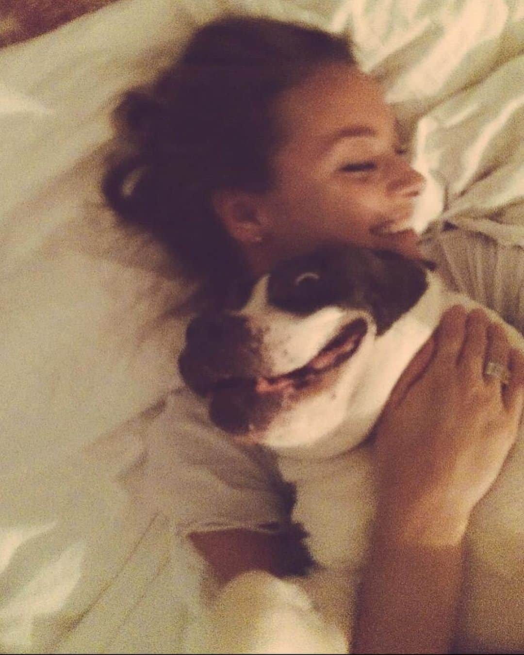 レイチェル・スカーステンのインスタグラム：「It’s world animal day! This is an oldie but a goodie with my sweet pit bull Maddie. Sweet Madeline (her full name:)) was a rescue from the LA SPCA, I adopted her on Valentines and she was 11 years old. Maddie was rescued from a fight ring where she was used as a breeding dog. All her teeth had been pulled out and she had scars covering her body, but she was the most loving and gentle dog despite her years of abuse. It’s safe to say she cared for ME more than I cared for her. I know I say this a lot, but there are SO many dogs looking for homes. I IMPLORE you, if you’re wanting a companion animal ADOPT. And don’t forget the senior dogs! They have a little less time but no less love. Oh and last thing, pit bulls are awesome. ❤️🐾」