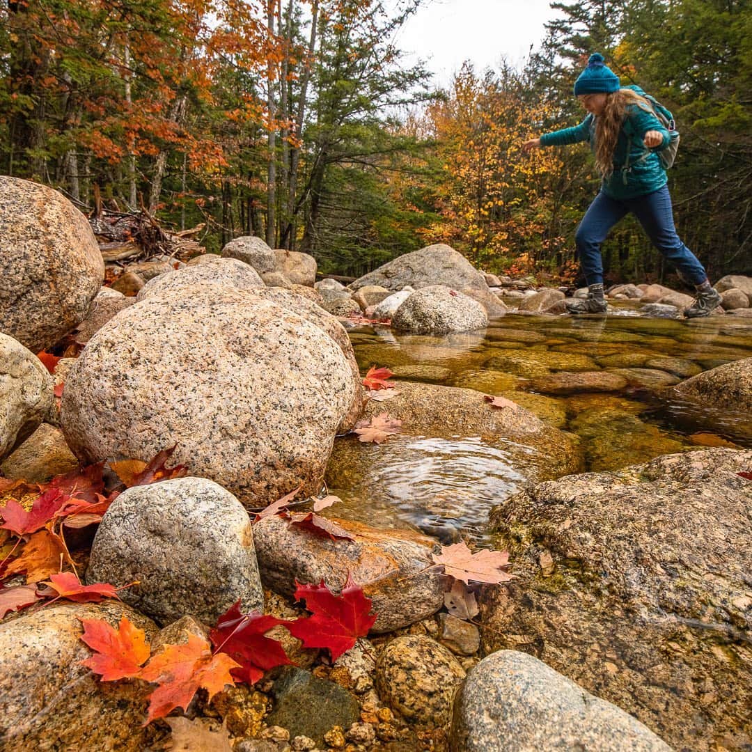 Tim Lamanさんのインスタグラム写真 - (Tim LamanInstagram)「Photos by @TimLaman.  The fall colors in New England are spectacular right now!  Yesterday I went hiking up in the White Mountains of New Hampshire and here are a few shots from the day.  If you live near anywhere where its fall right now, do get out and enjoy the colors and great hiking weather!  See my son @RussLaman’s feed for more shots from our hike as well.  #fallcolors #NewHampshire #WhiteMountains #Hiking  . . . If you are interested in fall themed prints, check out my Walden Pond collection in my online gallery at link in bio or www.timlamanfineart.com」10月5日 7時30分 - timlaman