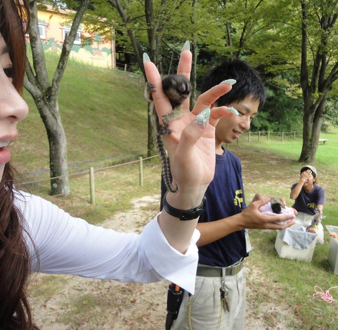 水谷雅子さんのインスタグラム写真 - (水谷雅子Instagram)「愛知県犬山市にある日本モンキーセンターです。🐵🙉🐒 世界屈指のサル類動物園です。 13年ぐらい前の懐かしい写真になります。 その頃はガラ携帯でした。😆 あと今の事務所にもまだ入っていないですね。 名古屋のTV番組で友達2人と楽しい収録をしたのを覚えています。🎶 デジカメのPRで日本モンキーセンターへ車で出発！🚙 私が車で運転するところから収録でした🎥 おサルさんほんとに可愛かったし、貴重な体験しました。🐵✨ 手の平サイズの小さなおサルさんピグミーマーモセット。🐒❤️ テレビCMでもよく流れていましたよね😉 お写真数枚ですが紹介しますね！ 今思うともっと沢山写真を撮っておけばよかったです～💧 #懐かしい写真#日本モンキーセンター #可愛いお猿さん #楽しい収録 #思い出に残る収録 #水谷雅子#水谷雅子beautybook50の私」10月5日 7時56分 - mizutanimasako