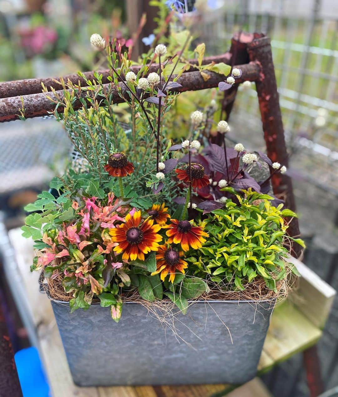 MILLE ECLAT.のグルメインスタ