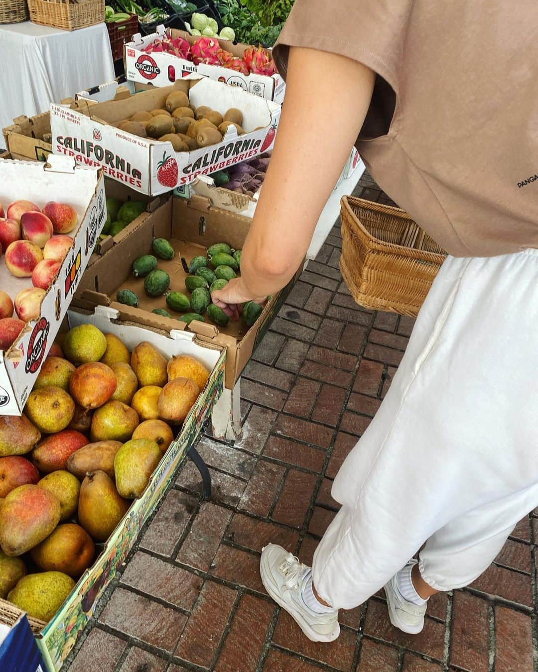 のインスタグラム：「Sunday’s farmer’s market pit stop. Delicata squash and guavas are back—It must be fall 🍂🍁」