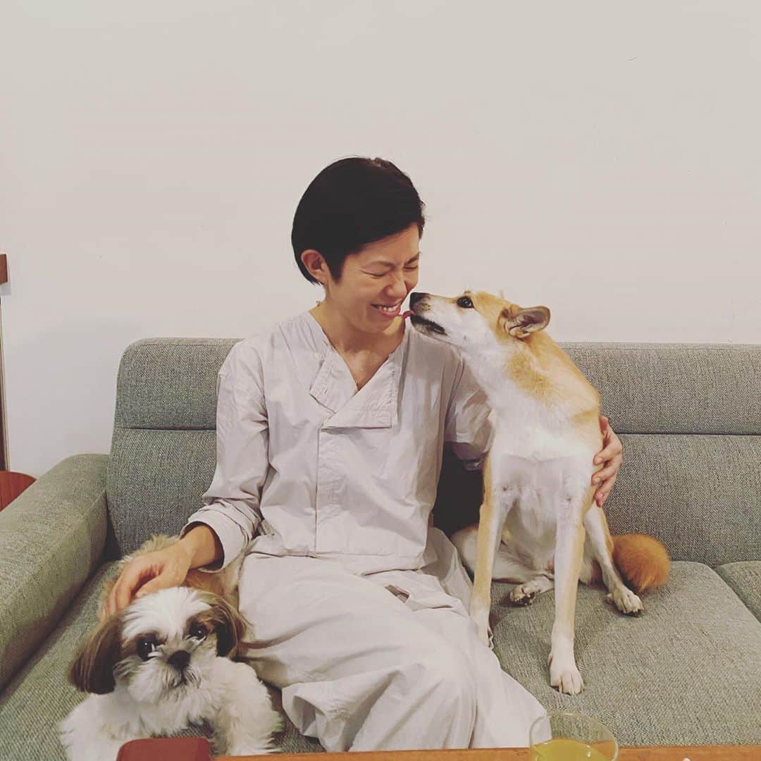 浜島直子さんのインスタグラム写真 - (浜島直子Instagram)「母律子のイクラがあるよ〜ってことで、手巻き寿司パーチーな日曜日。 犬たちと子供でまりこはんの隣を奪い合う光景は、まさに「ケンカをやめて〜♫」🤣 少し早い息子の誕生日祝いもしてもらい、ドラえもん人生ゲームもやってもらい「まりこはん、なんで帰っちゃうの？」と言っていた暴れ肉団子もうすぐ6歳。 ・ #手巻き寿司 #ペッカ #ピピちゃん #ペッカもピピちゃんも #元保護犬 #まりこはんのオサレtシャツをもらってご満悦の #暴れ肉団子 #ケーキはまりこはんの手土産の #オーボンヴュータン  #オサレなケーキやわ〜❤️」10月5日 8時26分 - hamaji_0912
